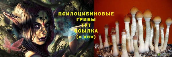 mdma Верея