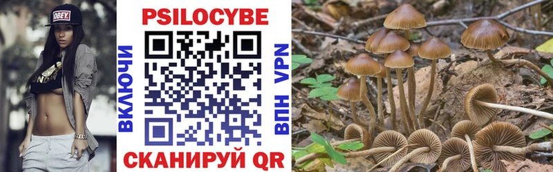 Псилоцибиновые грибы GOLDEN TEACHER  как найти закладки  Владимир 